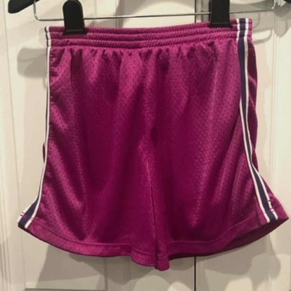 Purple / Pinkish Girls Champion Lined Shorts